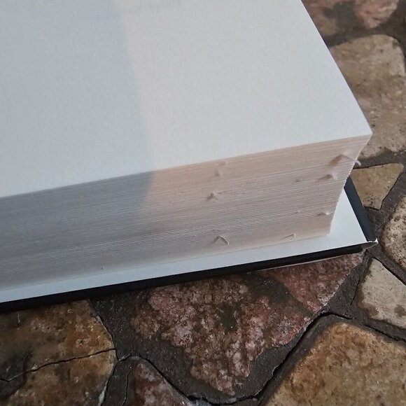 Blowout By Rachel Maddow Hardcover Book - Picture 7 of 9